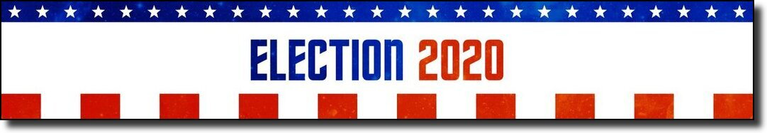 Election2020 Banner